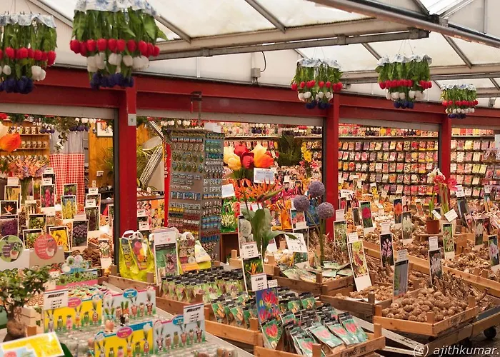 Short Group Staalmeesters Serviced Apartamento